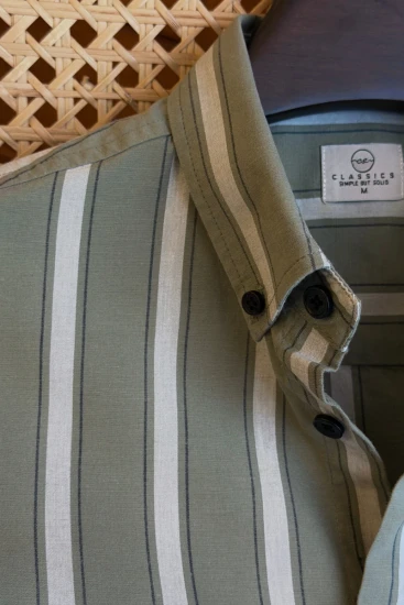 Sage Green With White & Charcoal Black Stripes Shirt