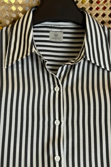 Female Black With White Stripe